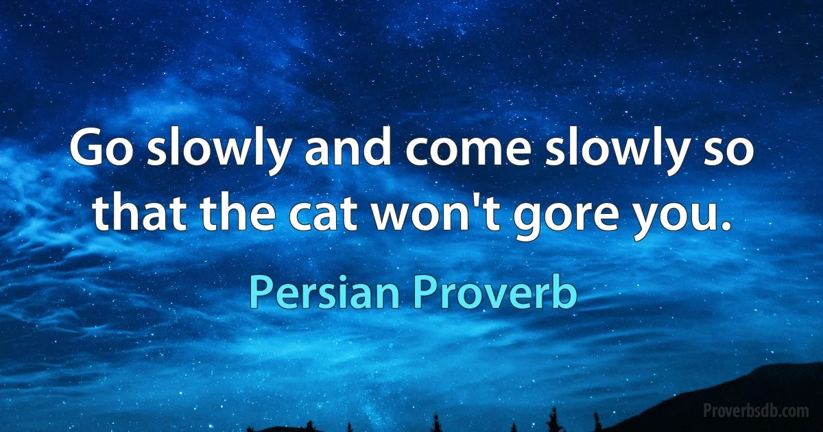 Go slowly and come slowly so that the cat won't gore you. (Persian Proverb)