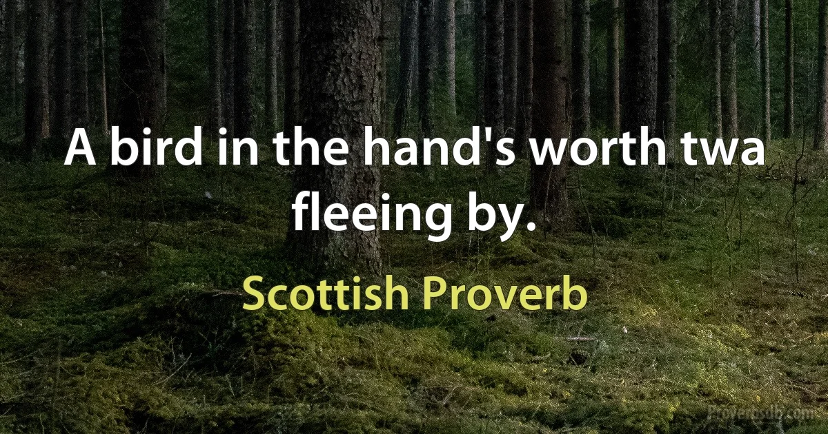 A bird in the hand's worth twa fleeing by. (Scottish Proverb)