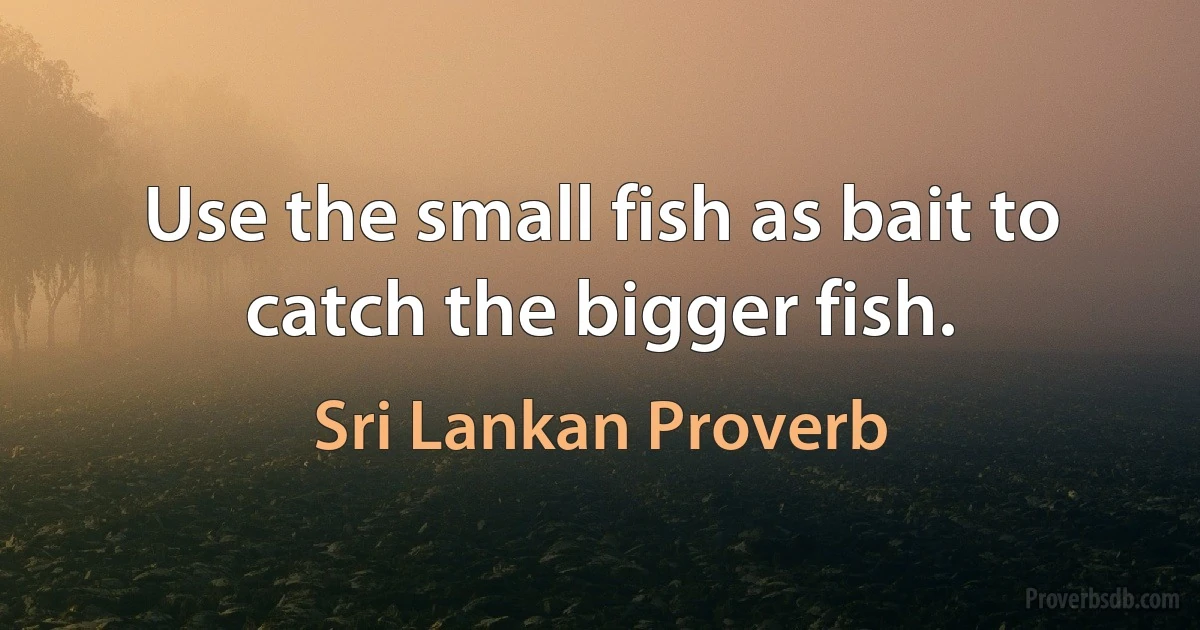 Use the small fish as bait to catch the bigger fish. (Sri Lankan Proverb)