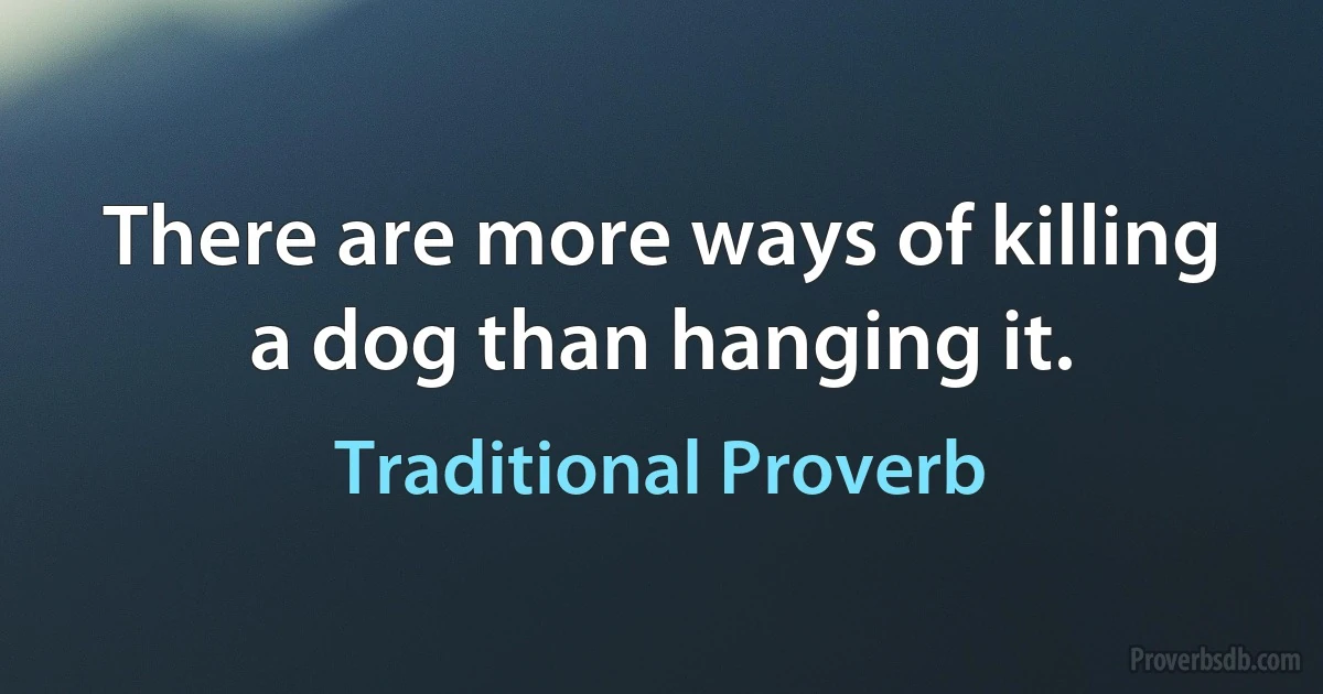 There are more ways of killing a dog than hanging it. (Traditional Proverb)