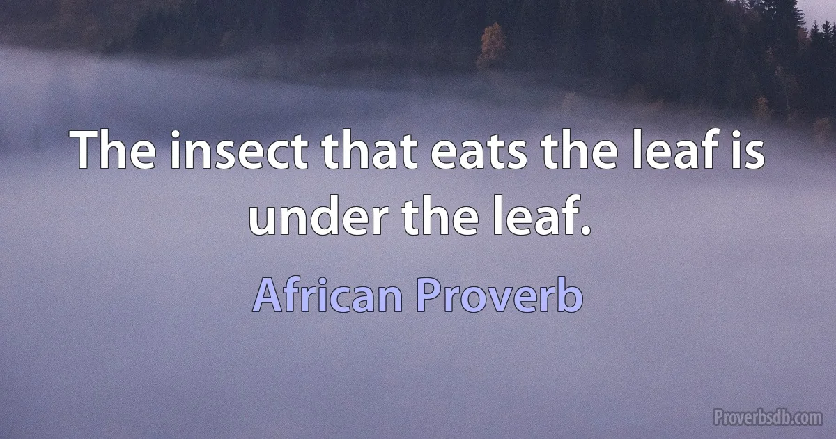 The insect that eats the leaf is under the leaf. (African Proverb)