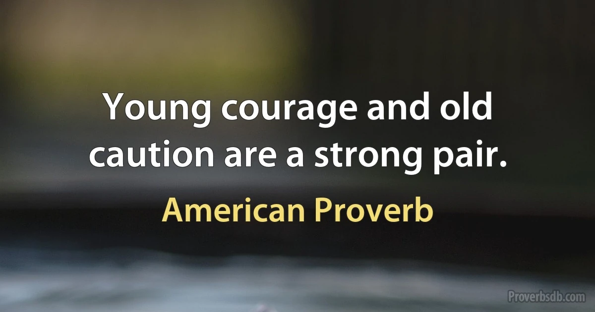 Young courage and old caution are a strong pair. (American Proverb)