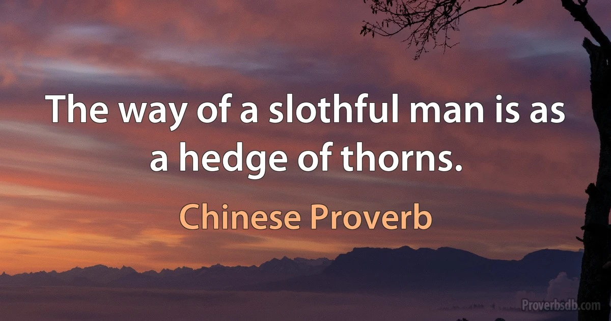 The way of a slothful man is as a hedge of thorns. (Chinese Proverb)