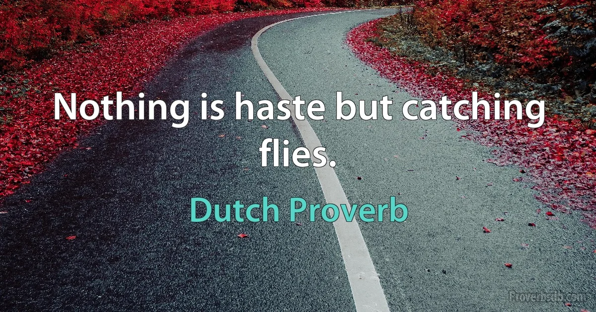 Nothing is haste but catching flies. (Dutch Proverb)