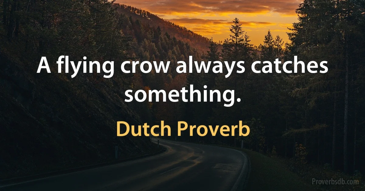 A flying crow always catches something. (Dutch Proverb)