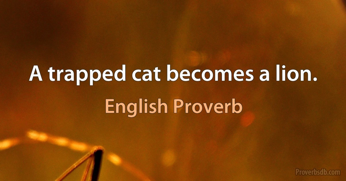 A trapped cat becomes a lion. (English Proverb)