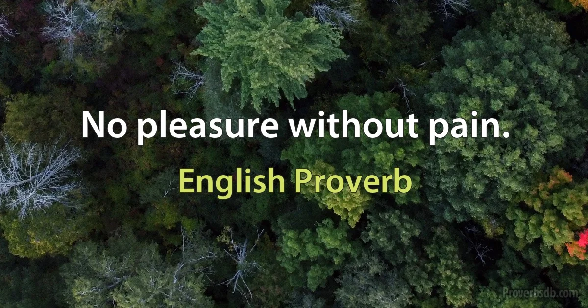 No pleasure without pain. (English Proverb)