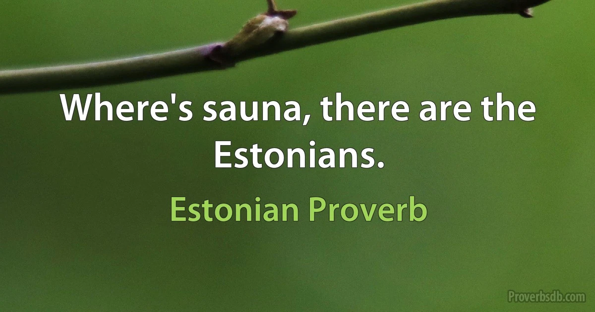 Where's sauna, there are the Estonians. (Estonian Proverb)