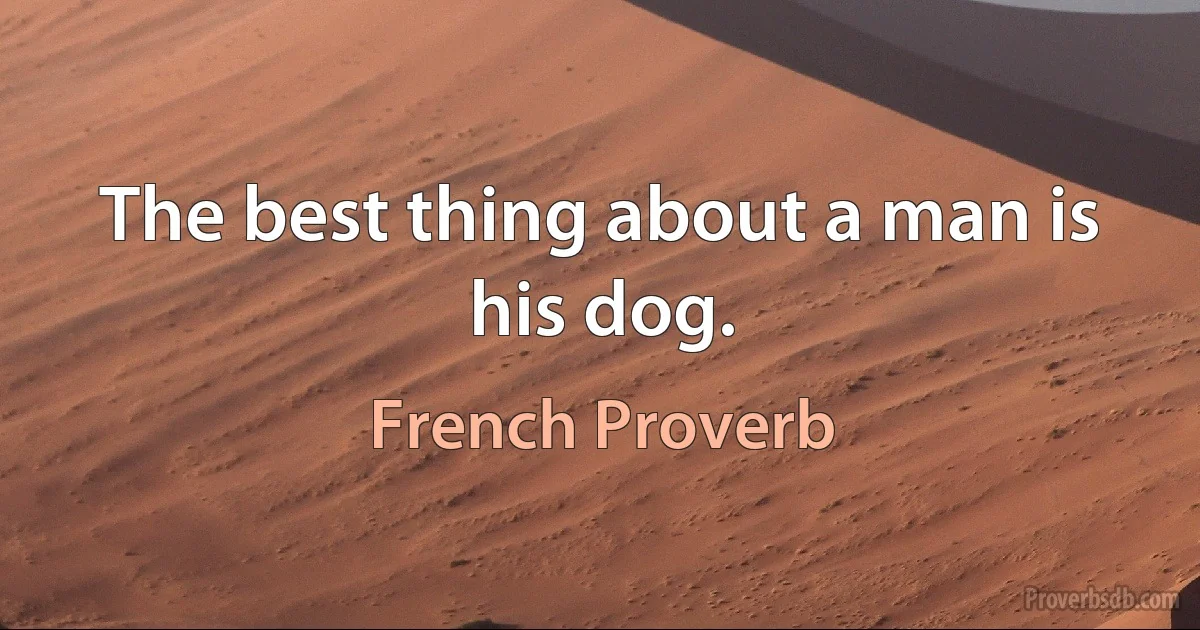 The best thing about a man is his dog. (French Proverb)