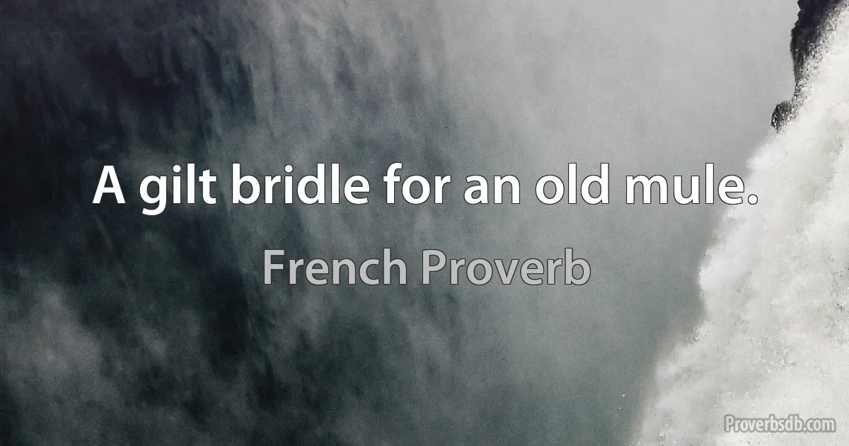 A gilt bridle for an old mule. (French Proverb)