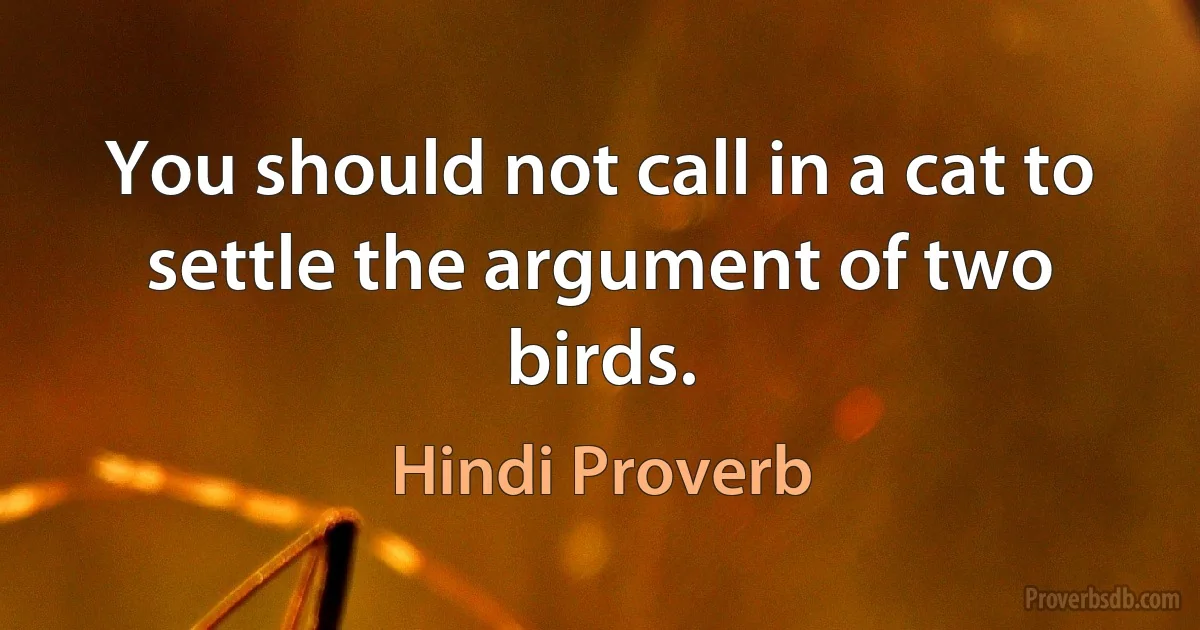 You should not call in a cat to settle the argument of two birds. (Hindi Proverb)