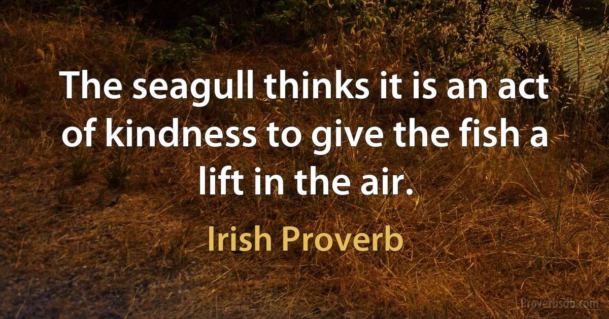 The seagull thinks it is an act of kindness to give the fish a lift in the air. (Irish Proverb)