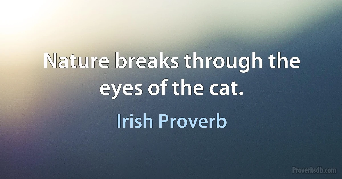 Nature breaks through the eyes of the cat. (Irish Proverb)