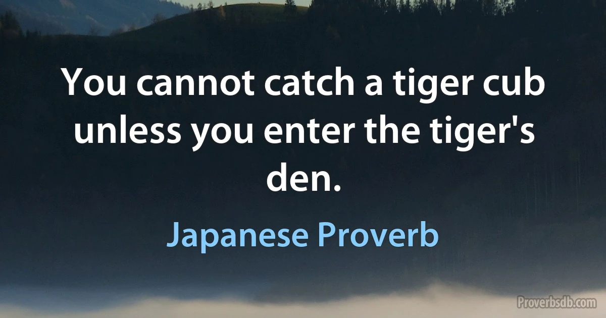 You cannot catch a tiger cub unless you enter the tiger's den. (Japanese Proverb)