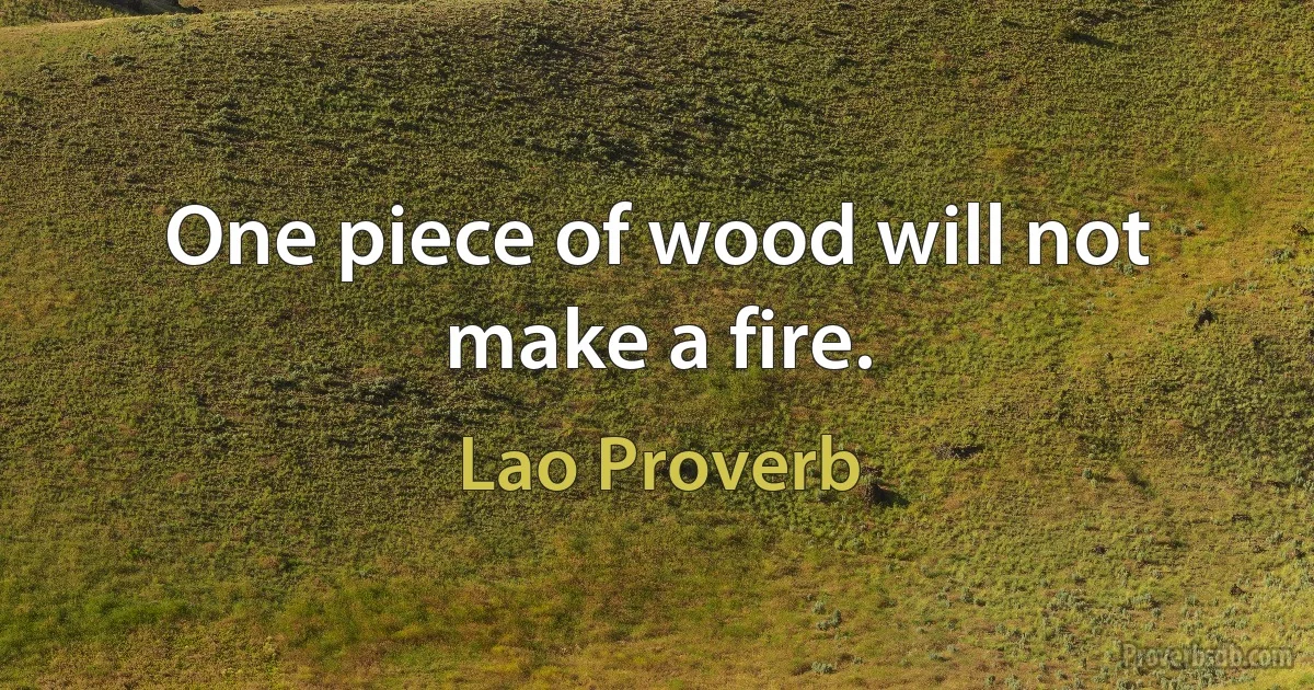 One piece of wood will not make a fire. (Lao Proverb)