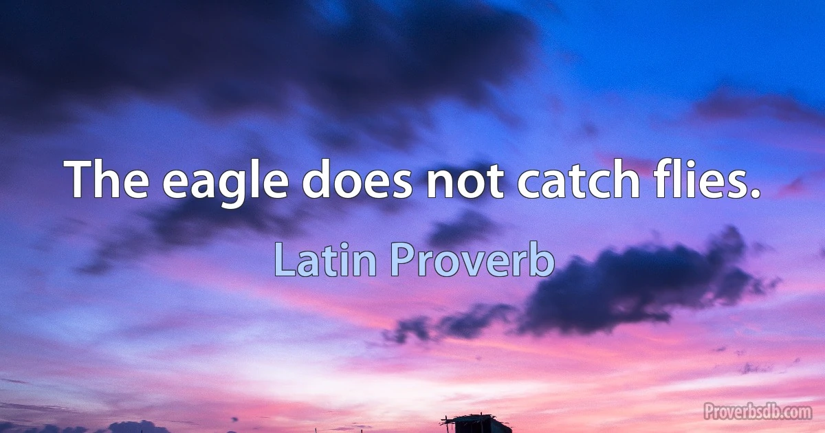 The eagle does not catch flies. (Latin Proverb)