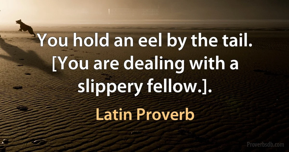 You hold an eel by the tail. [You are dealing with a slippery fellow.]. (Latin Proverb)