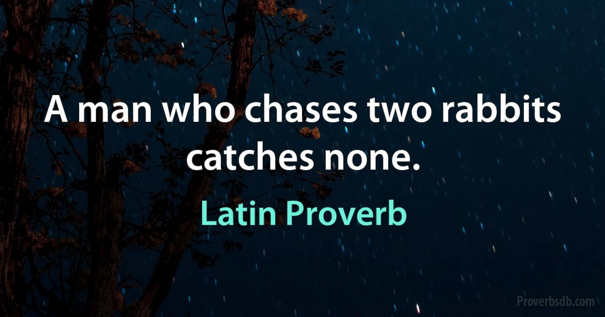 A man who chases two rabbits catches none. (Latin Proverb)