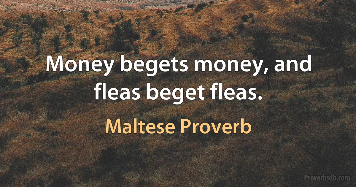 Money begets money, and fleas beget fleas. (Maltese Proverb)