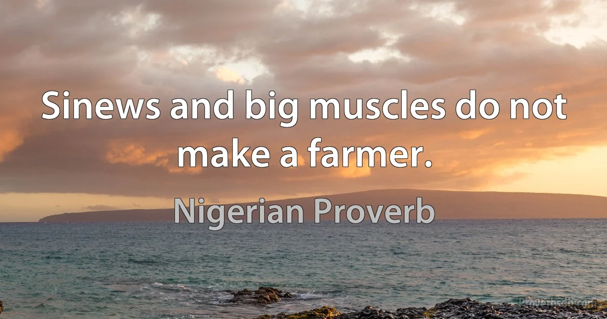 Sinews and big muscles do not make a farmer. (Nigerian Proverb)