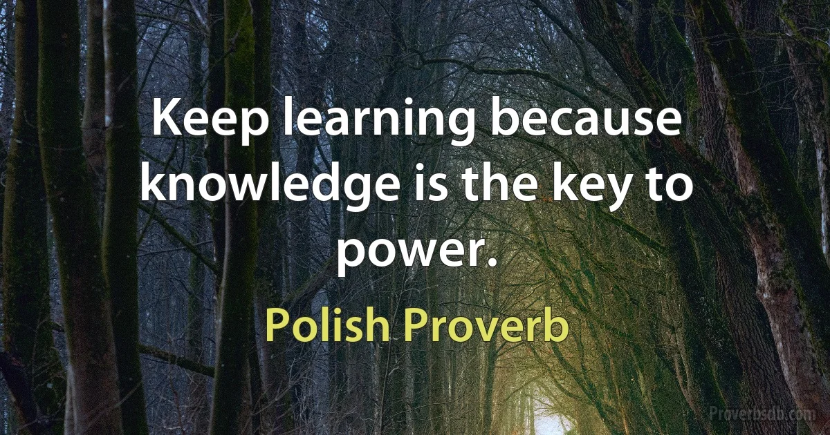 Keep learning because knowledge is the key to power. (Polish Proverb)