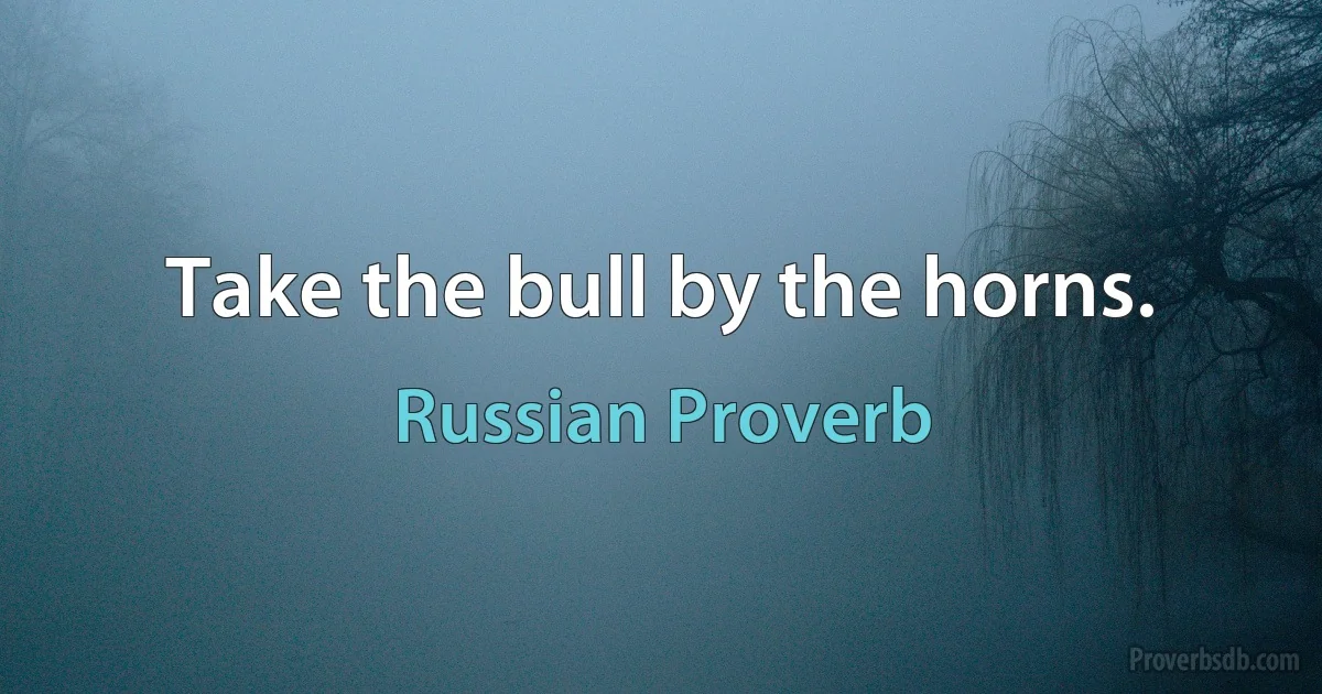 Take the bull by the horns. (Russian Proverb)