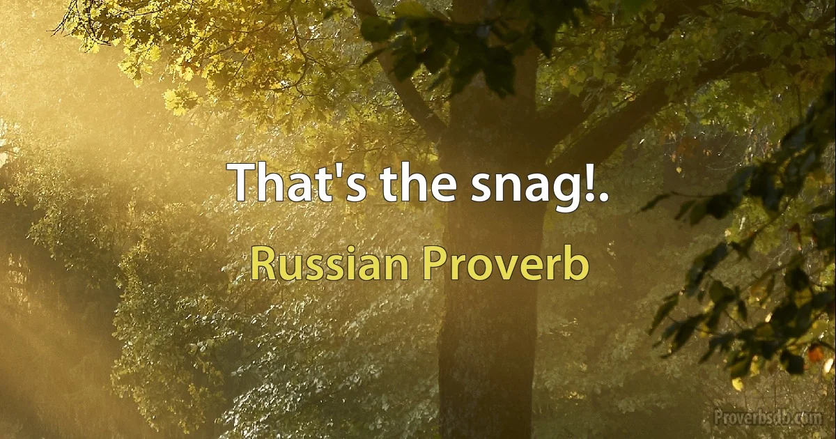 That's the snag!. (Russian Proverb)