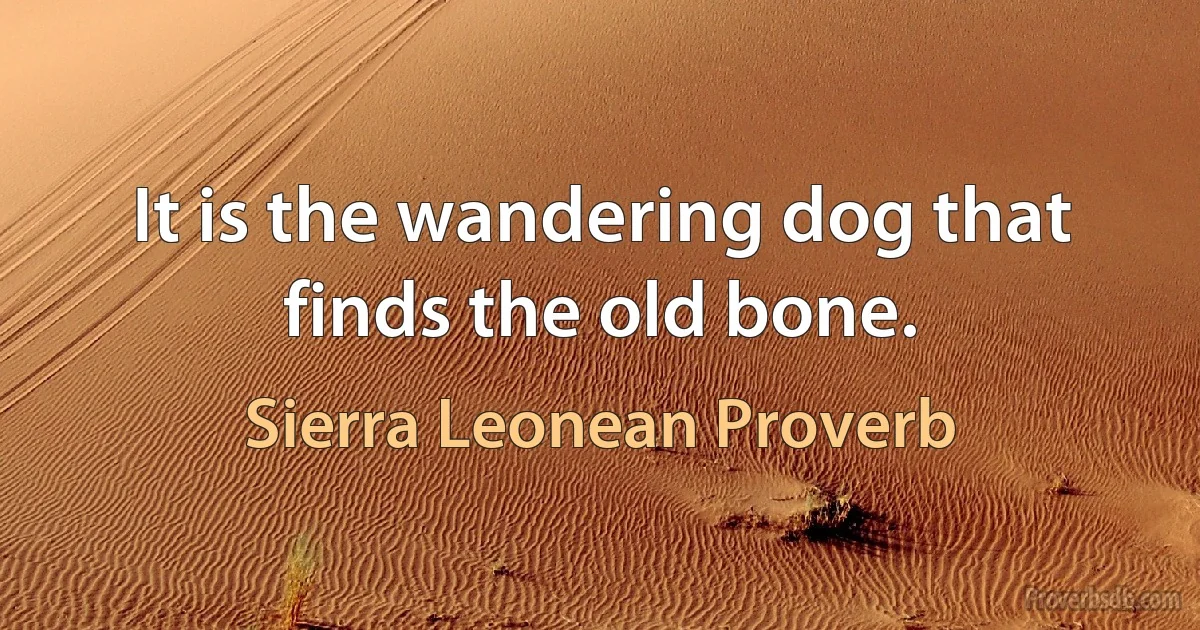 It is the wandering dog that finds the old bone. (Sierra Leonean Proverb)