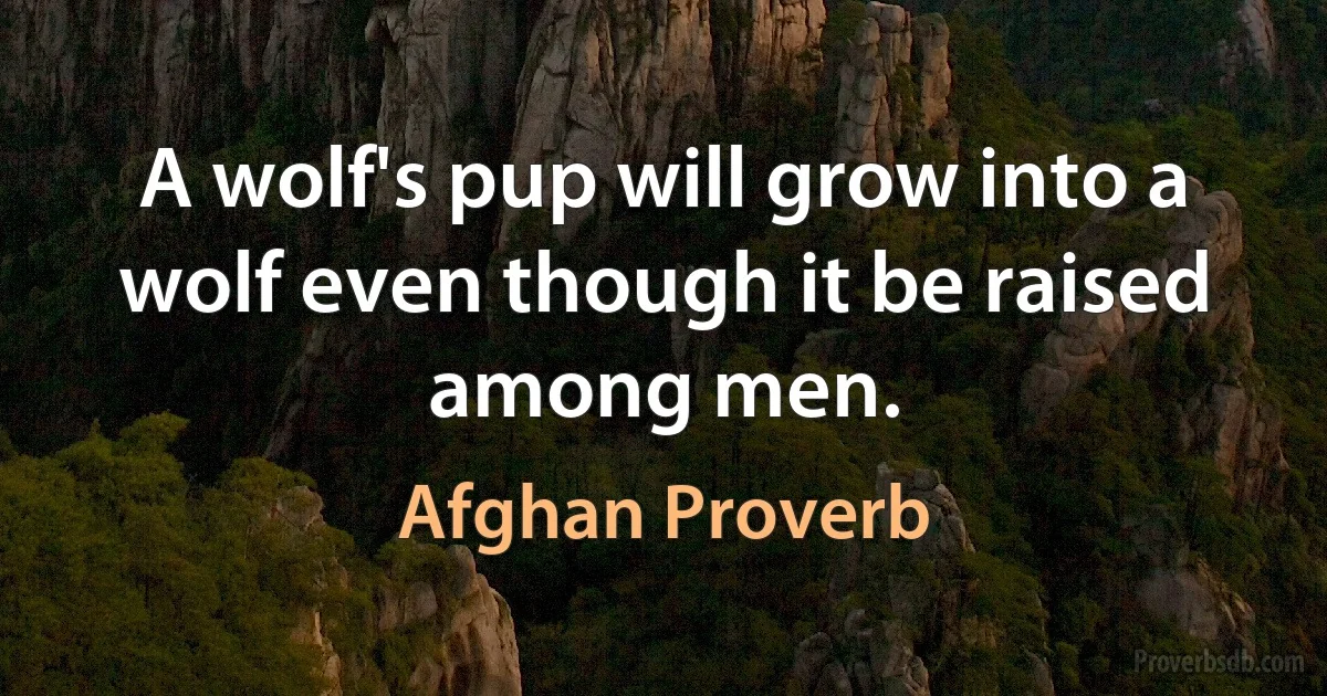 A wolf's pup will grow into a wolf even though it be raised among men. (Afghan Proverb)