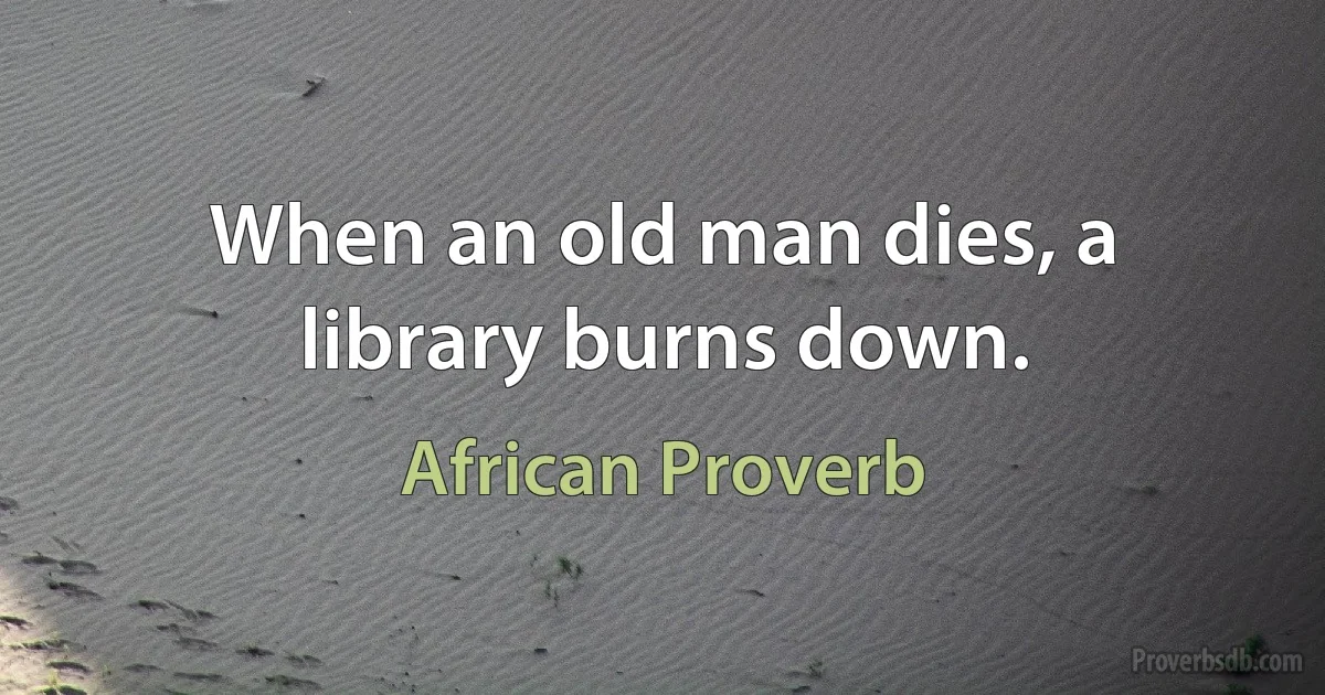 When an old man dies, a library burns down. (African Proverb)