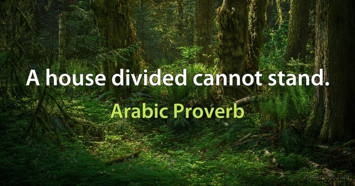 A house divided cannot stand. (Arabic Proverb)