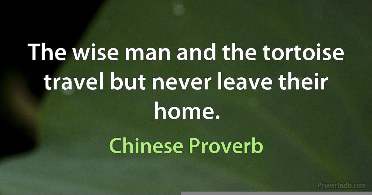 The wise man and the tortoise travel but never leave their home. (Chinese Proverb)