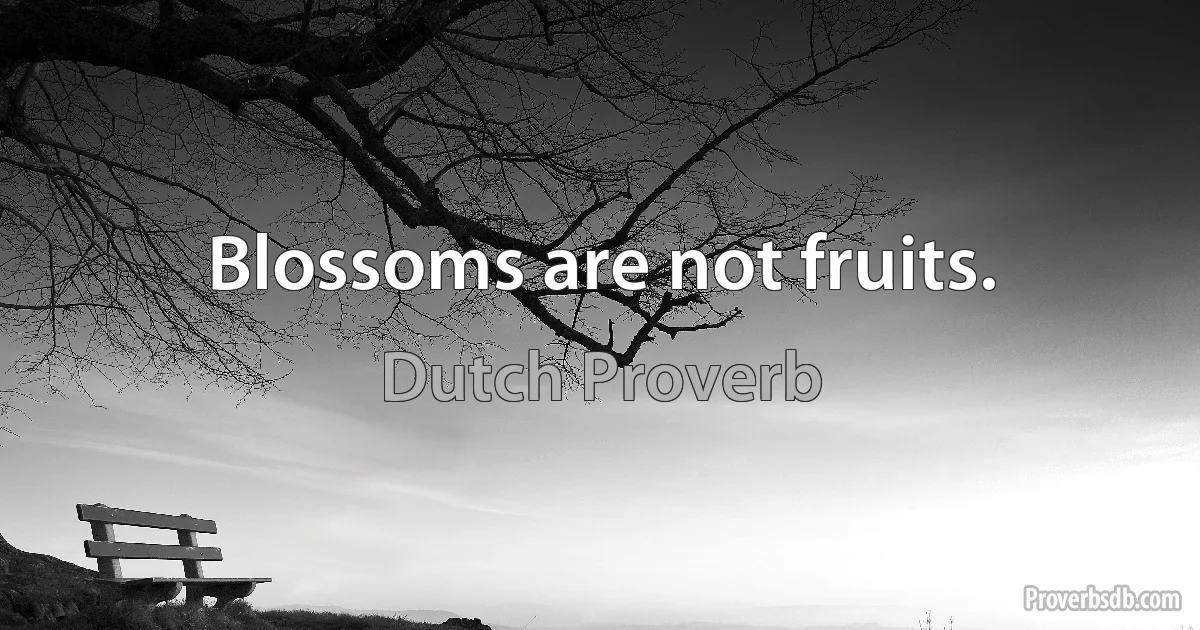 Blossoms are not fruits. (Dutch Proverb)