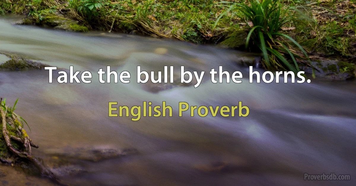 Take the bull by the horns. (English Proverb)