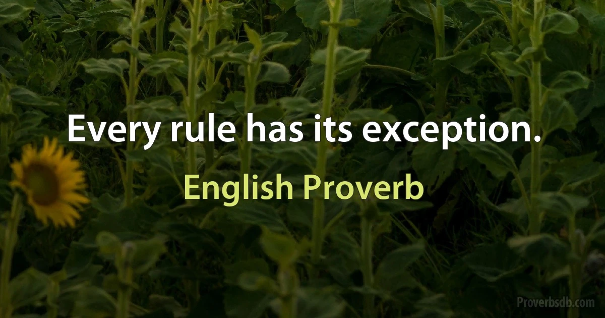 Every rule has its exception. (English Proverb)