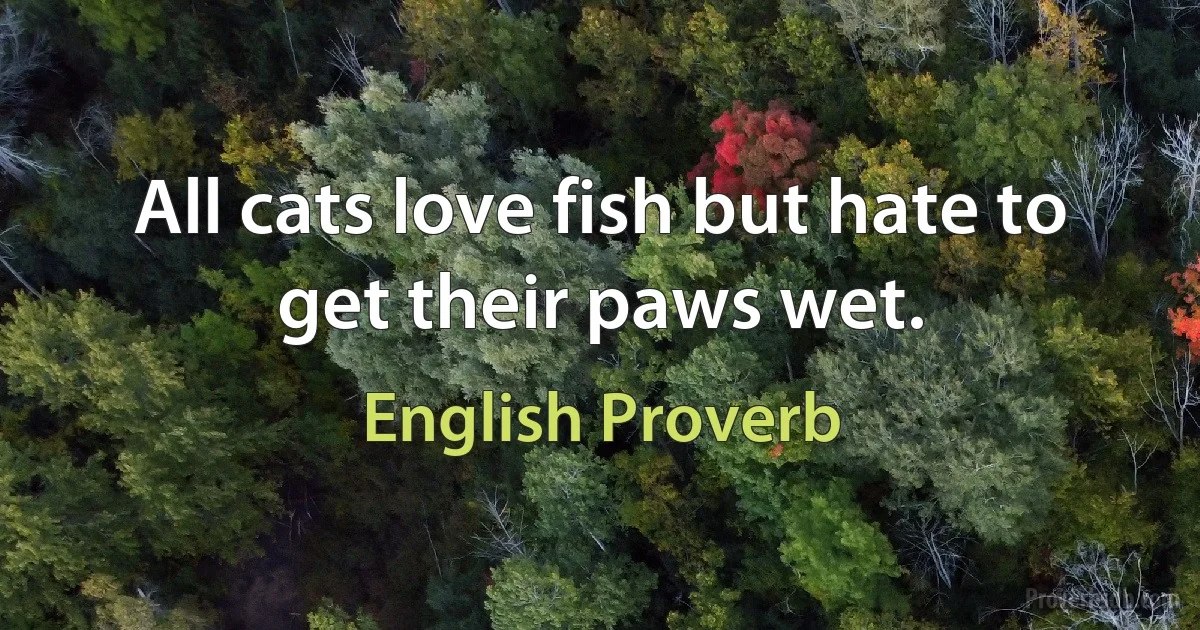 All cats love fish but hate to get their paws wet. (English Proverb)