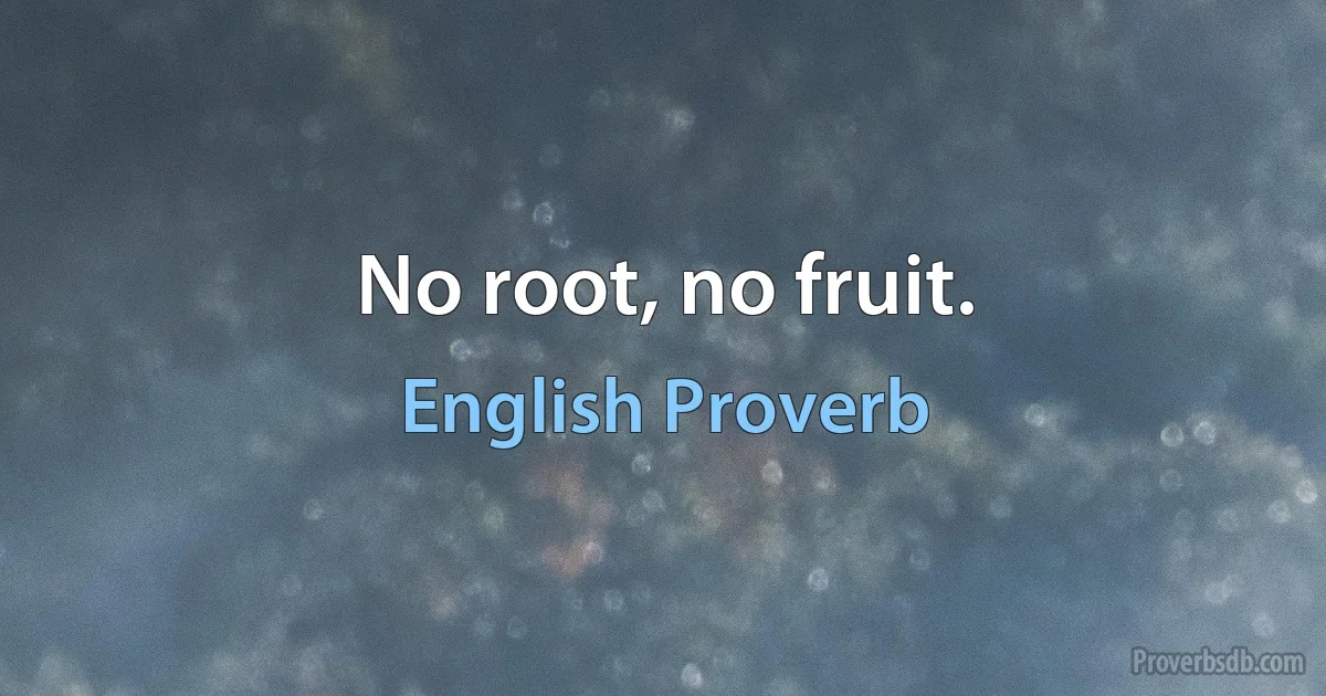 No root, no fruit. (English Proverb)