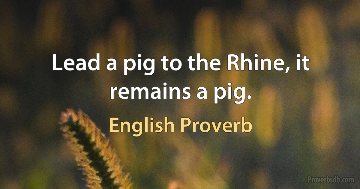 Lead a pig to the Rhine, it remains a pig. (English Proverb)