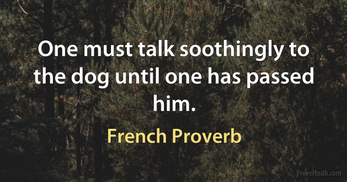 One must talk soothingly to the dog until one has passed him. (French Proverb)