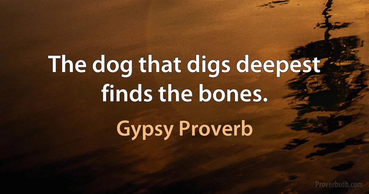 The dog that digs deepest finds the bones. (Gypsy Proverb)