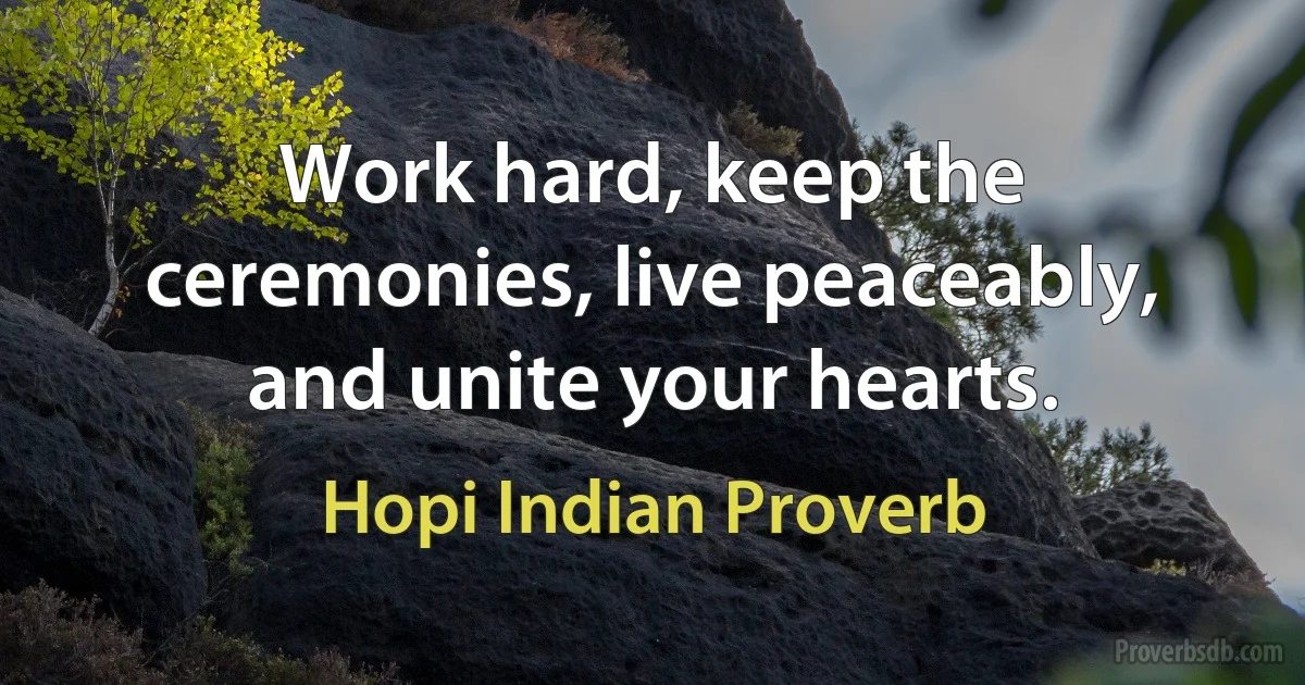 Work hard, keep the ceremonies, live peaceably, and unite your hearts. (Hopi Indian Proverb)