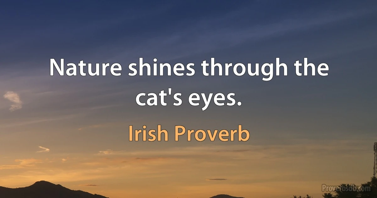 Nature shines through the cat's eyes. (Irish Proverb)