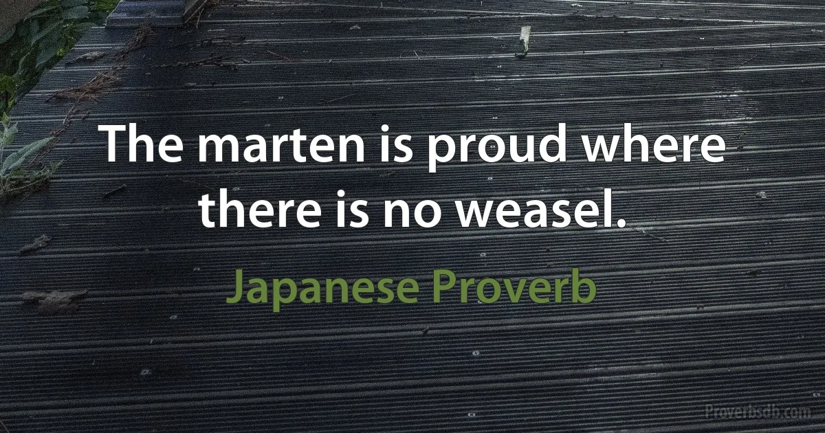 The marten is proud where there is no weasel. (Japanese Proverb)