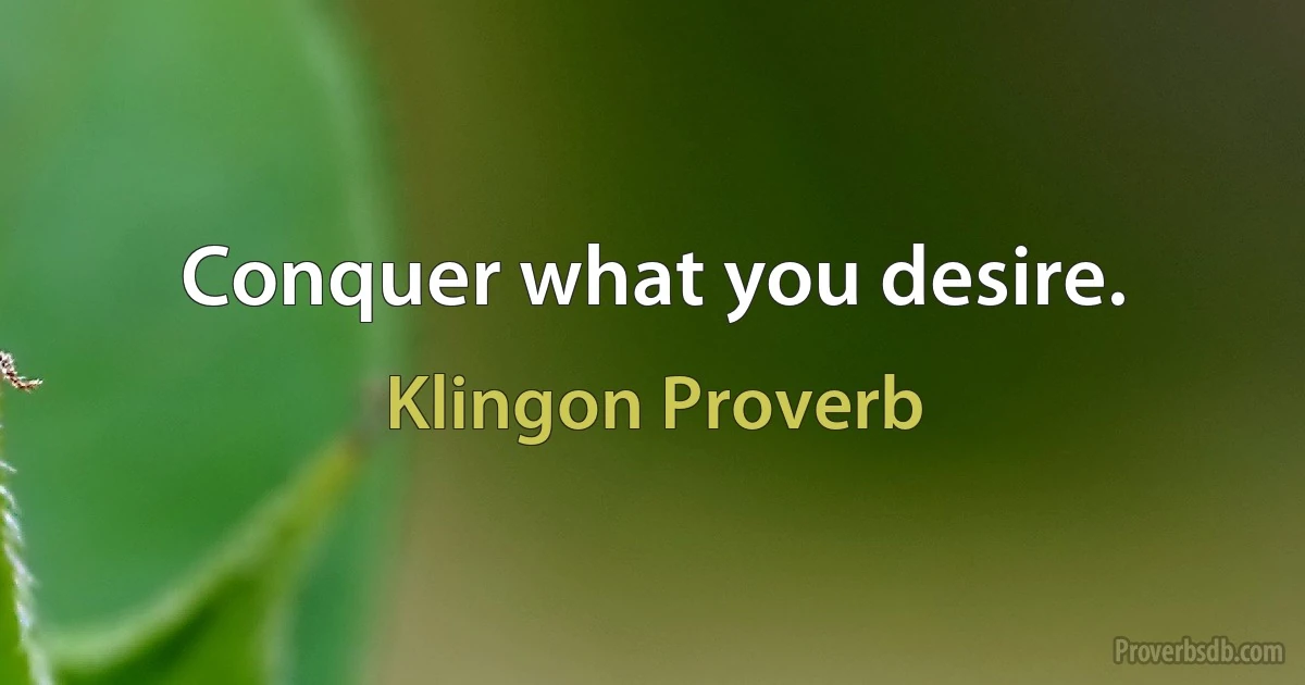 Conquer what you desire. (Klingon Proverb)