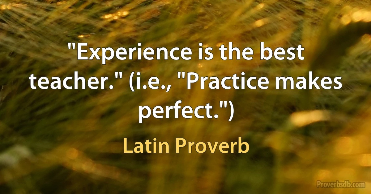 "Experience is the best teacher." (i.e., "Practice makes perfect.") (Latin Proverb)