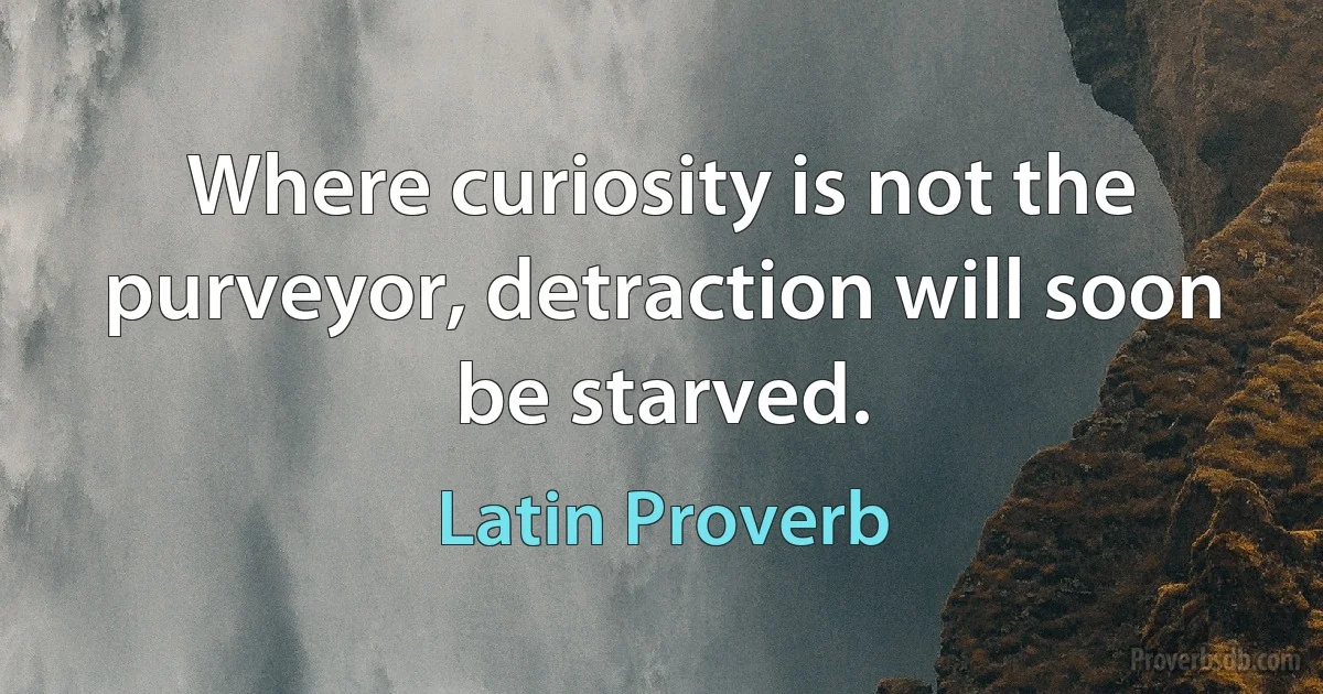 Where curiosity is not the purveyor, detraction will soon be starved. (Latin Proverb)