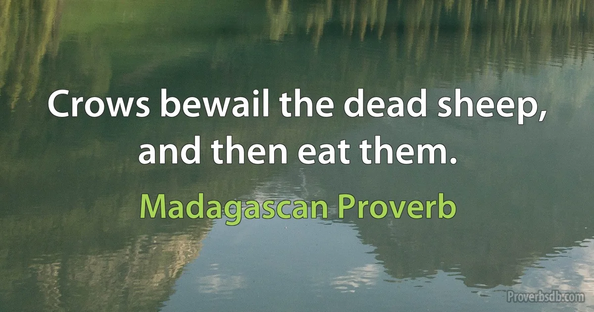 Crows bewail the dead sheep, and then eat them. (Madagascan Proverb)