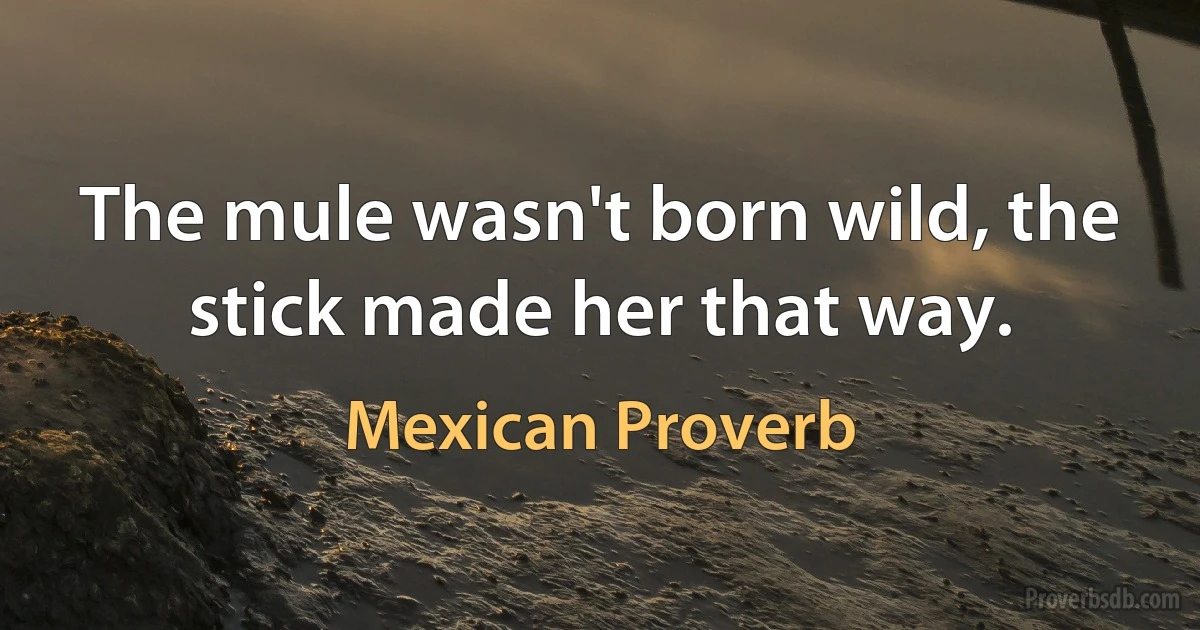 The mule wasn't born wild, the stick made her that way. (Mexican Proverb)