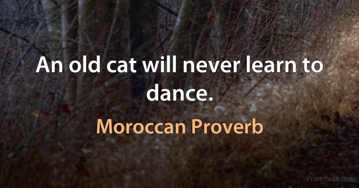 An old cat will never learn to dance. (Moroccan Proverb)