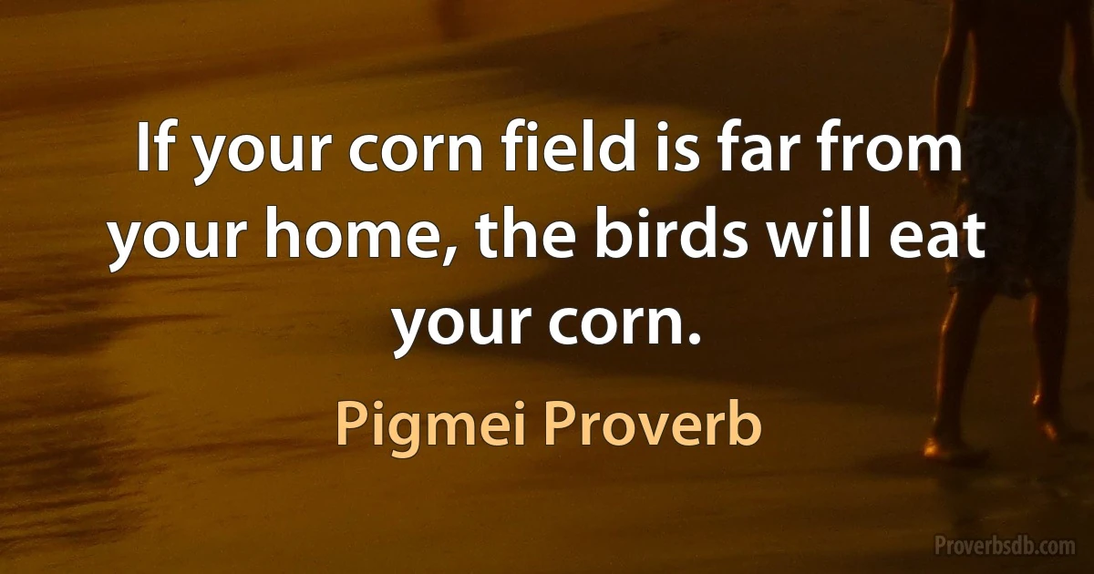 If your corn field is far from your home, the birds will eat your corn. (Pigmei Proverb)